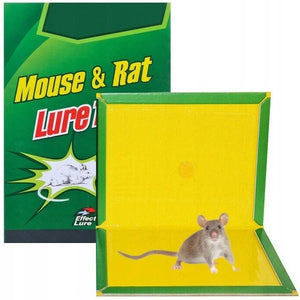 Capcana adeziva Lure traps, pentru soareci si sobolani 10buc/ set